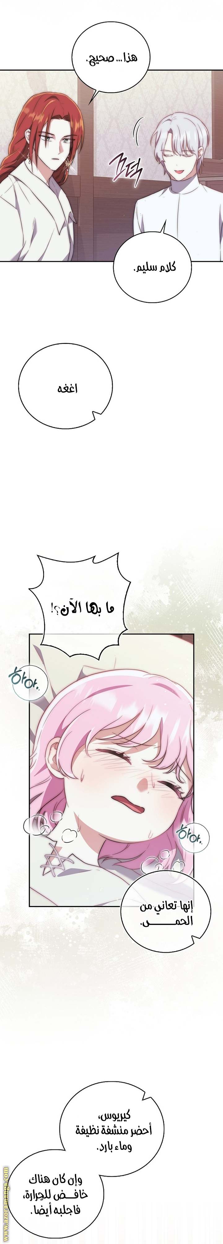 الصفحة 25