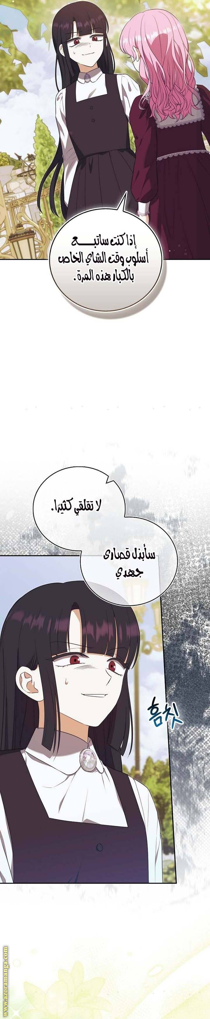 الصفحة 26