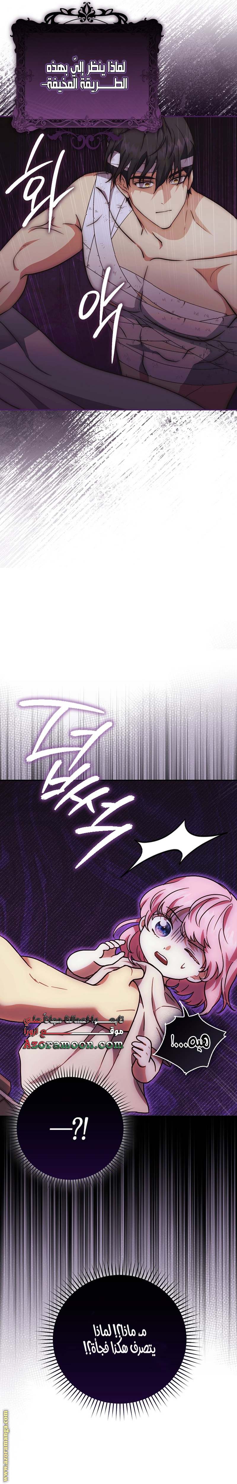 الصفحة 26