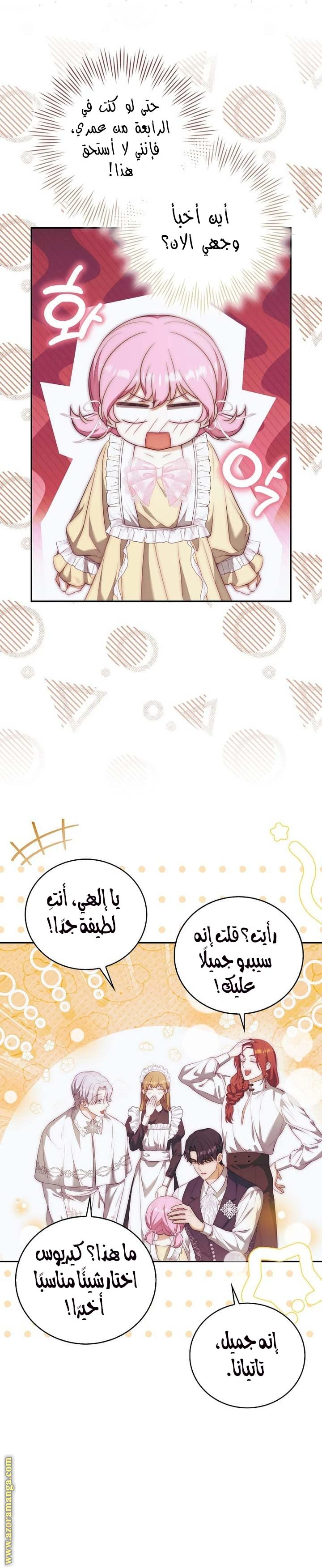 الصفحة 13