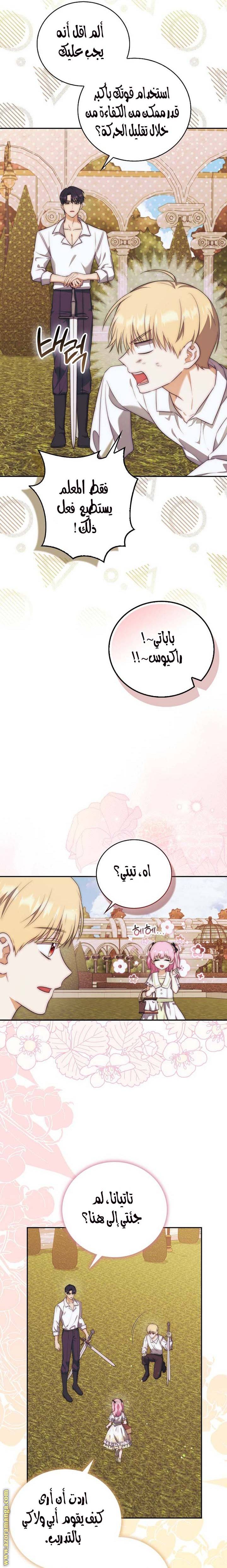 الصفحة 17