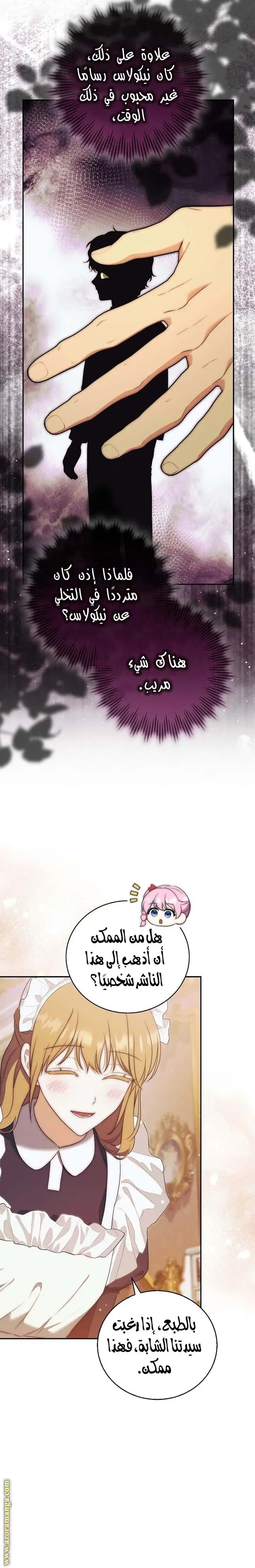 الصفحة 21