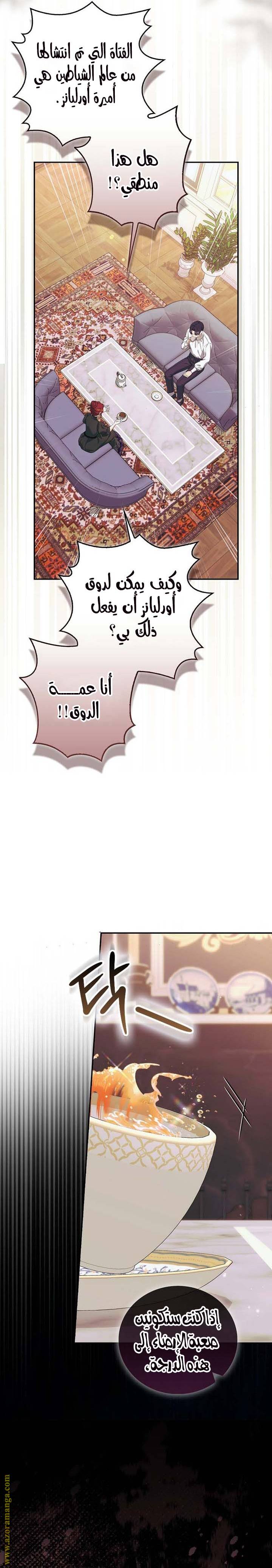 الصفحة 17