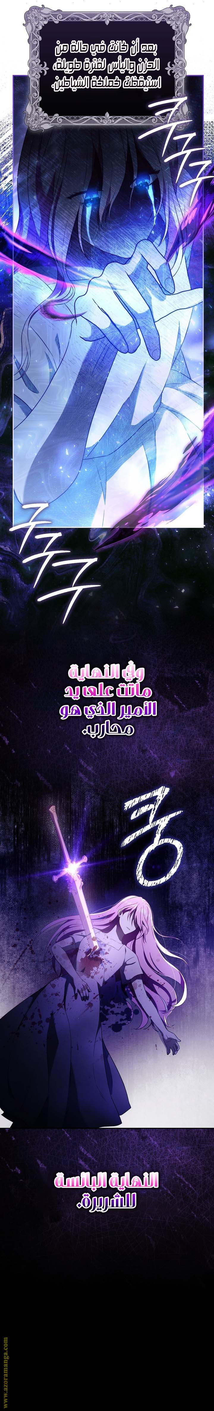الصفحة 17