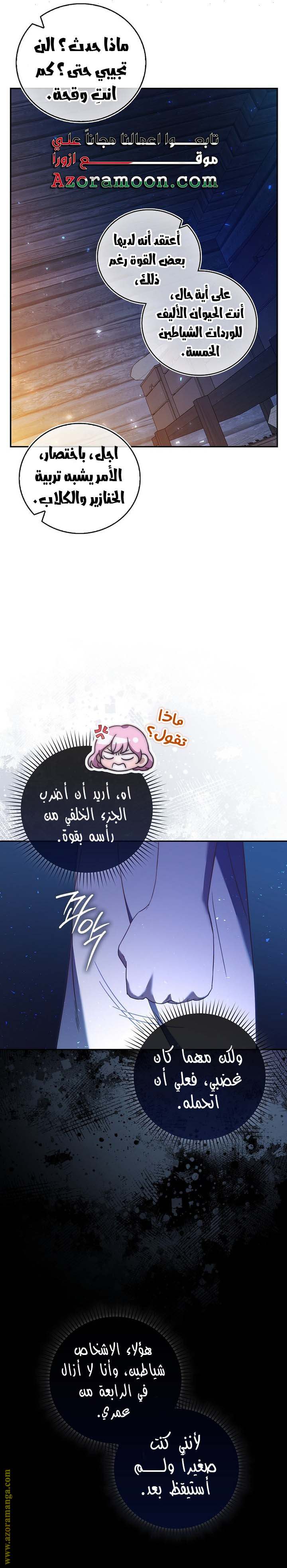 الصفحة 21