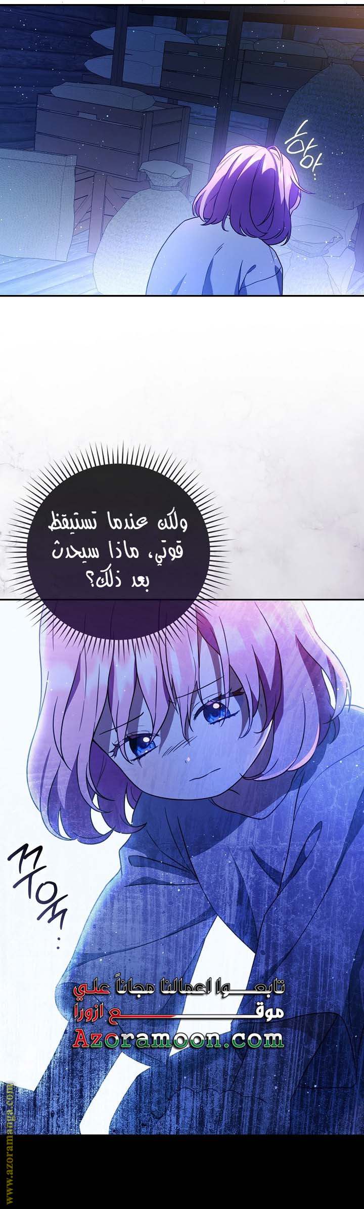 الصفحة 24