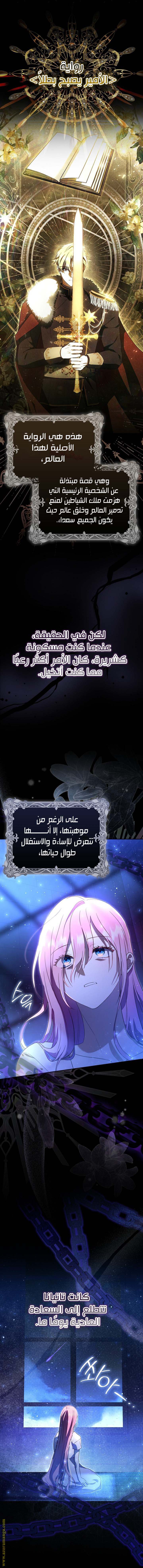 الصفحة 25