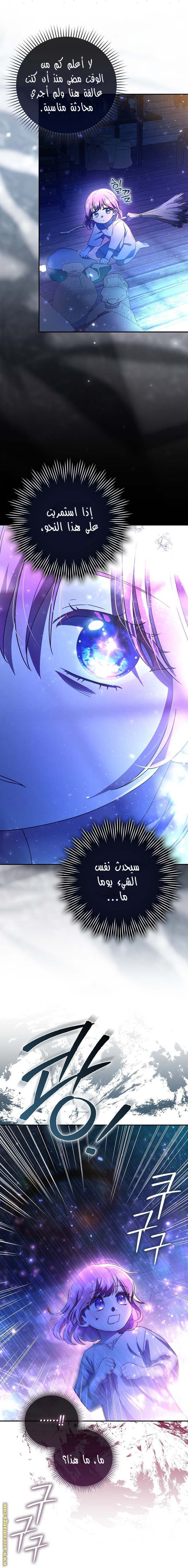الصفحة 27