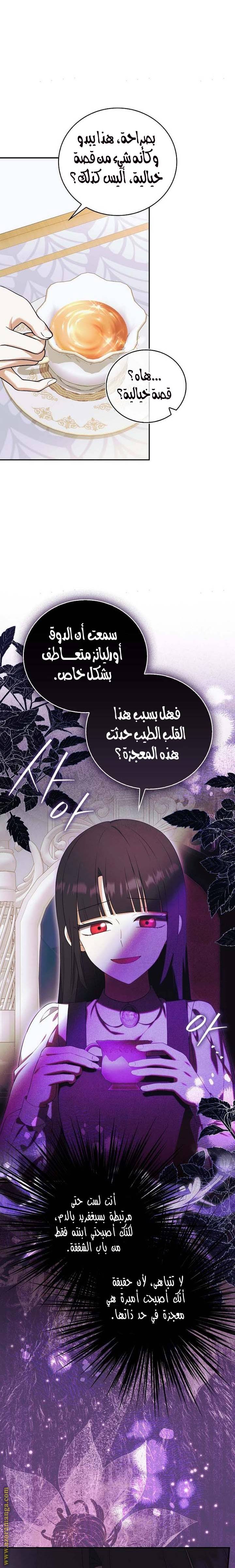 الصفحة 17