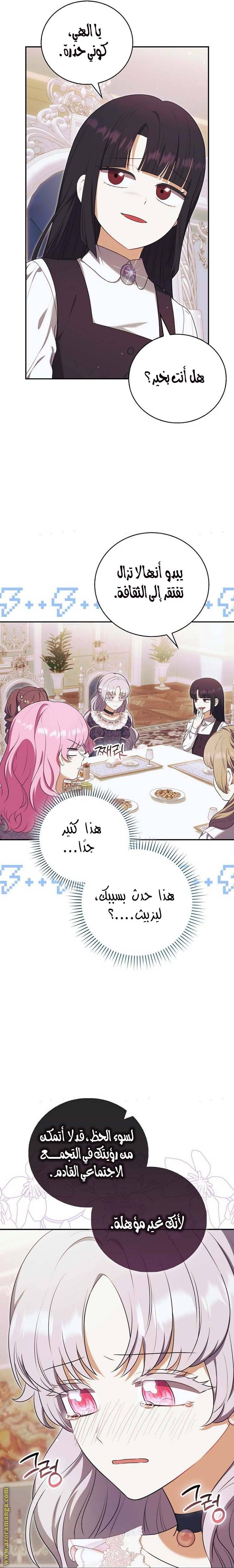 الصفحة 26
