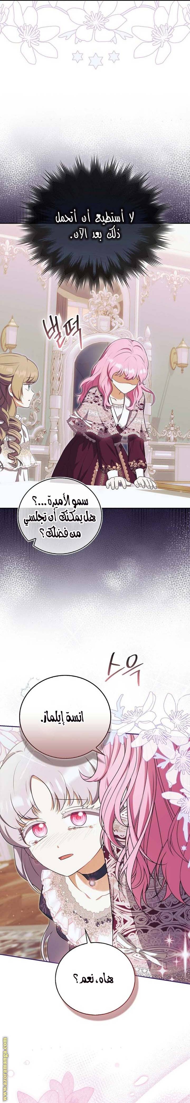 الصفحة 27