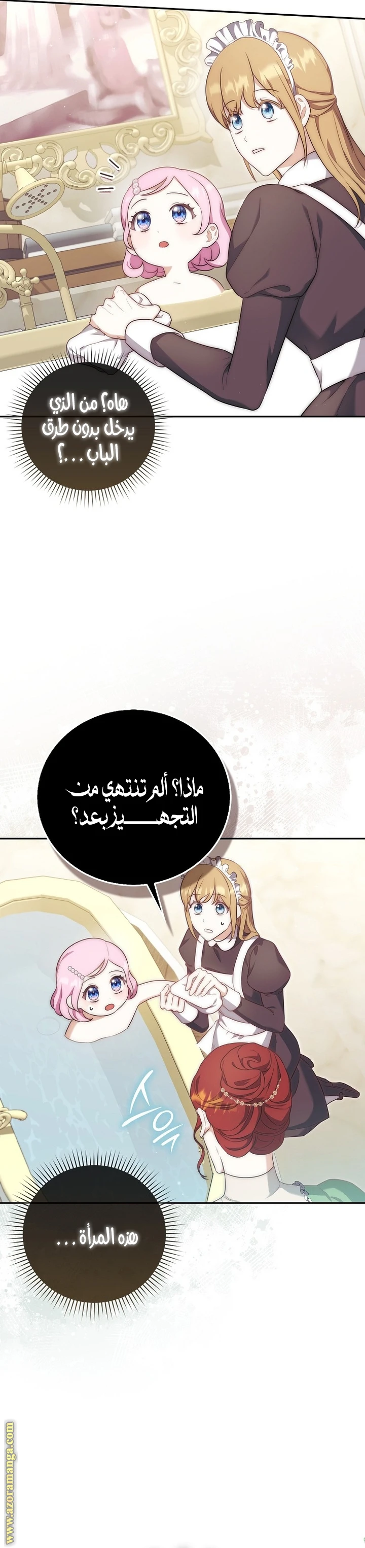 الصفحة 25