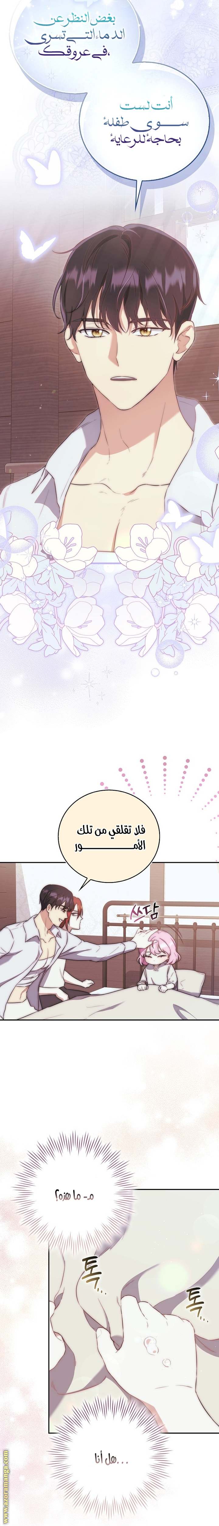 الصفحة 20