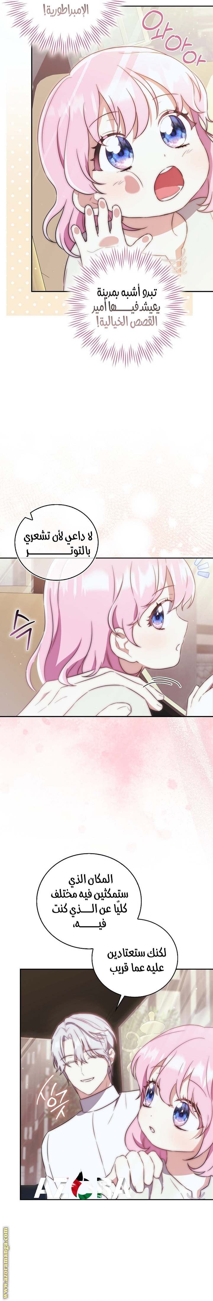 الصفحة 27