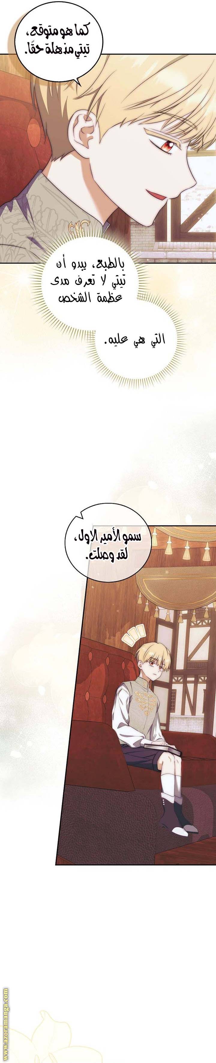 الصفحة 19