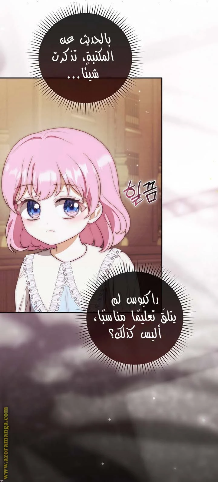 الصفحة 48