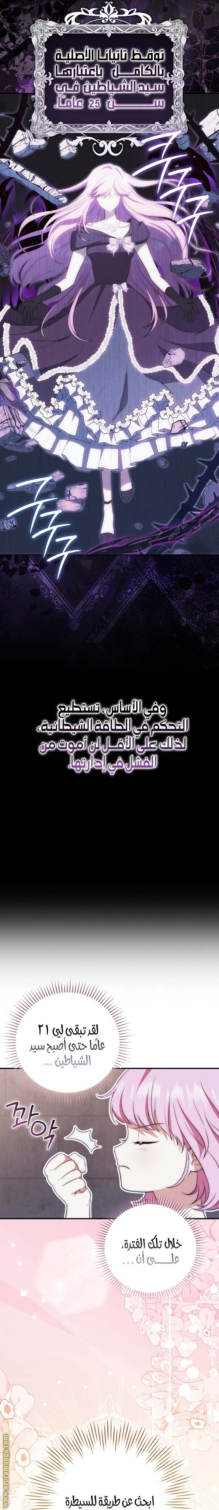 الصفحة 17