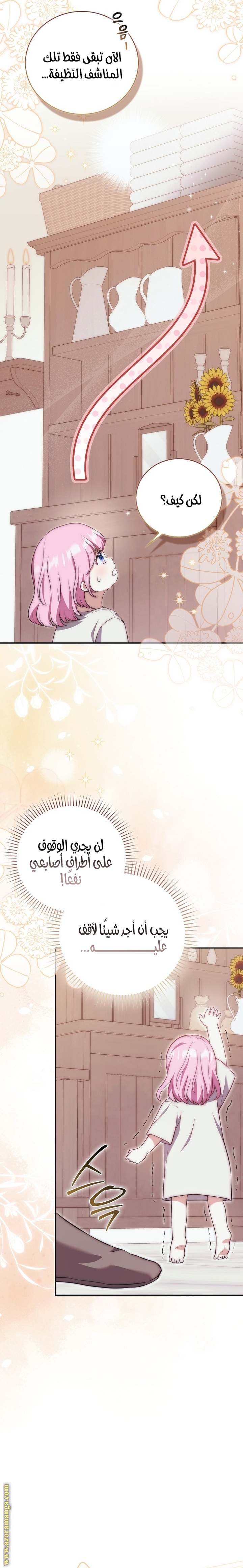 الصفحة 21