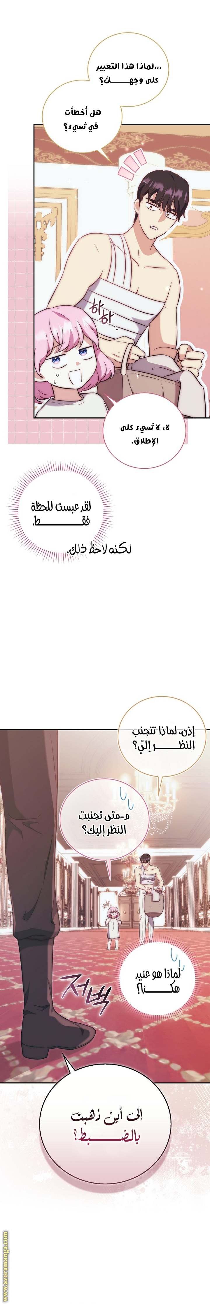 الصفحة 26