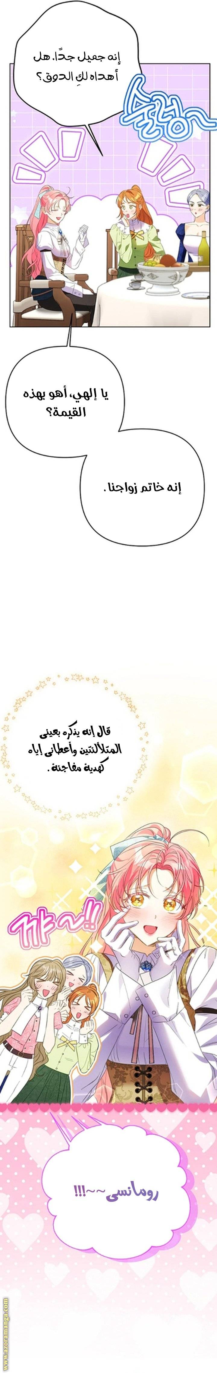 الصفحة 13