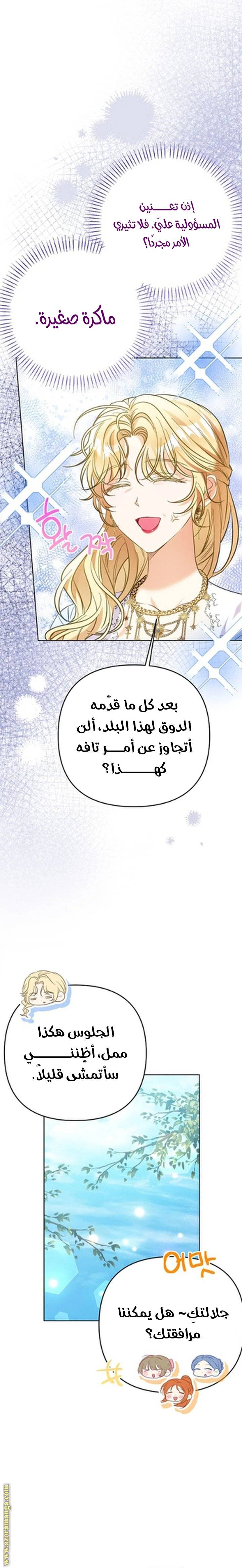 الصفحة 17