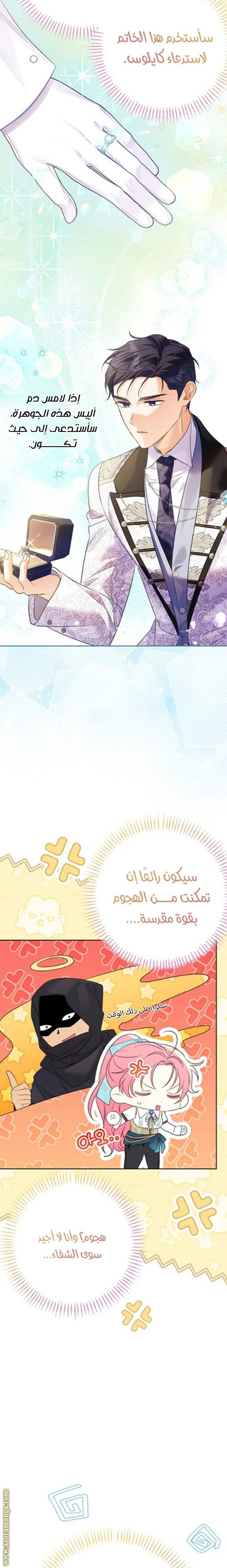 الصفحة 19