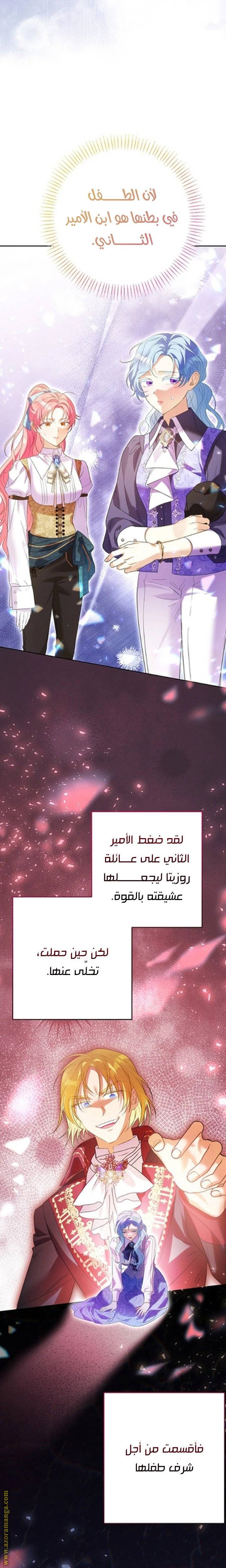 الصفحة 25