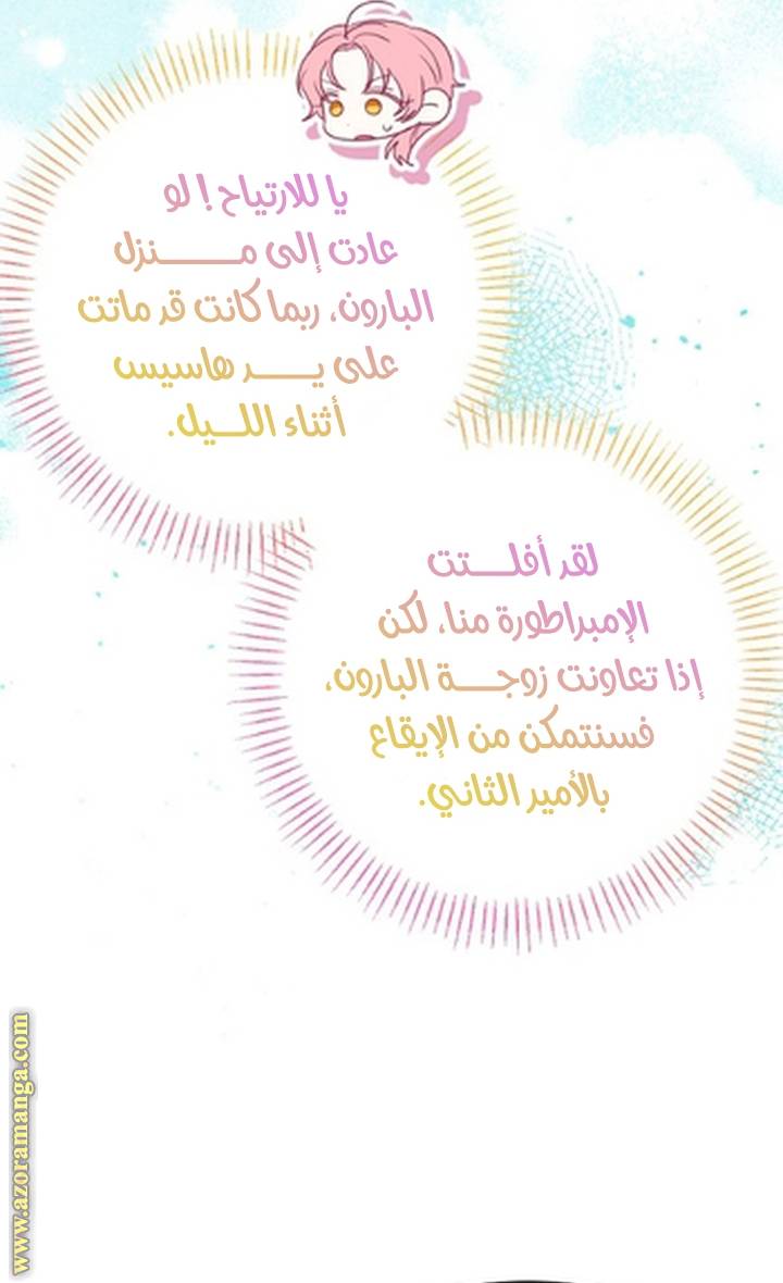 الصفحة 31