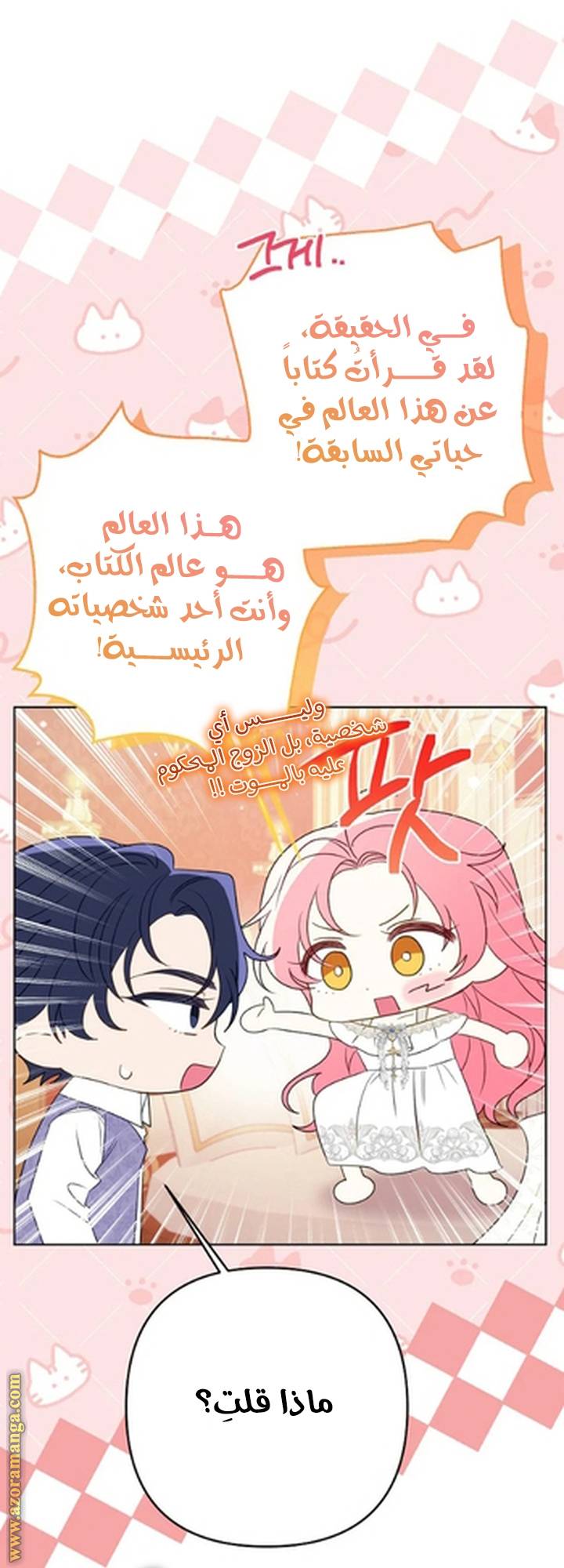 الصفحة 43