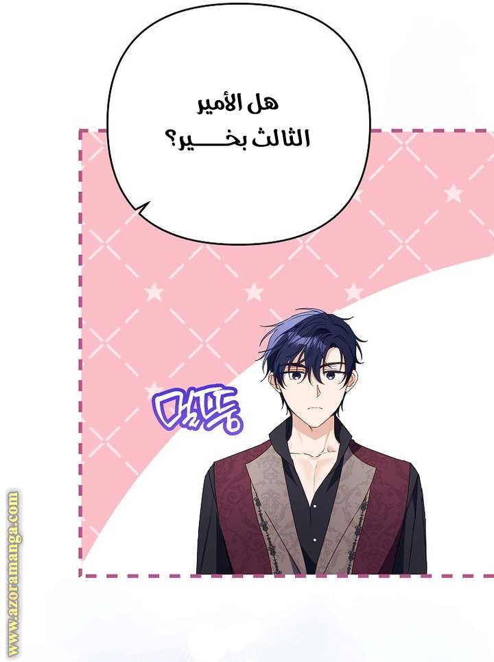 الصفحة 24