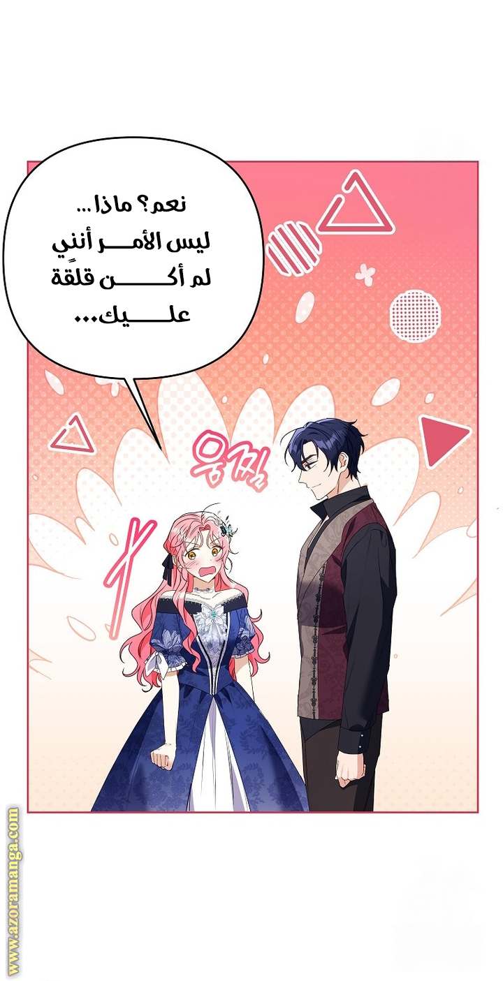 الصفحة 26