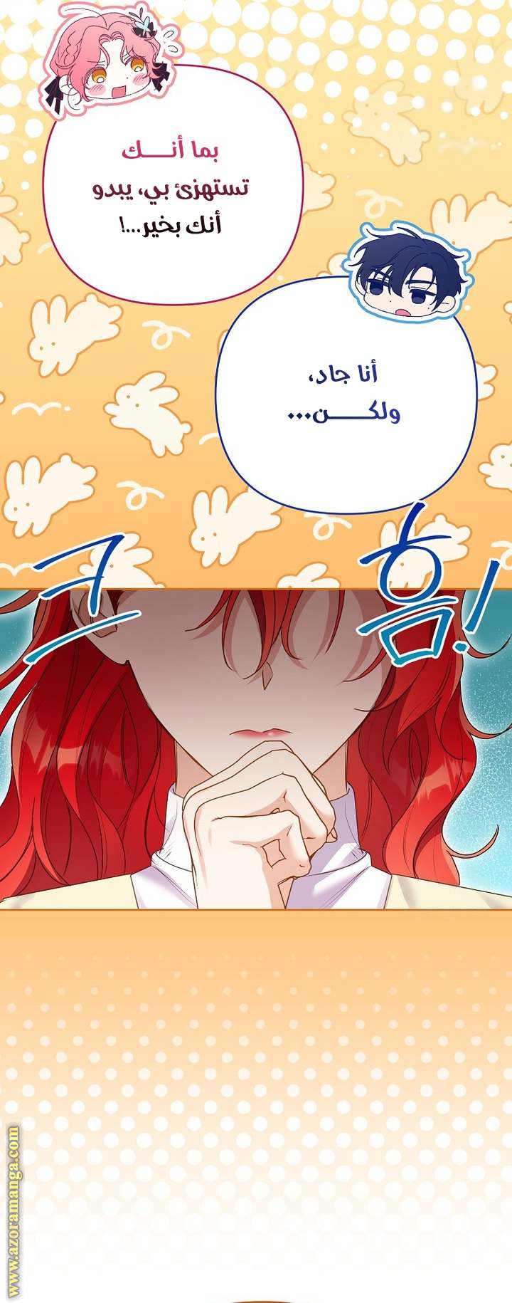 الصفحة 29