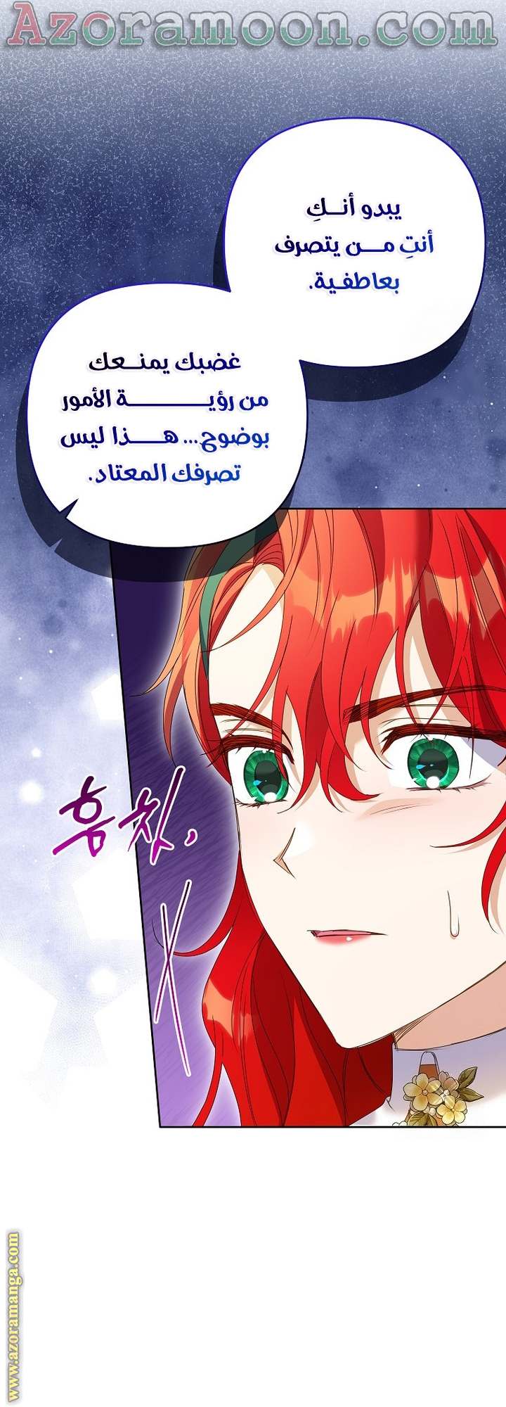 الصفحة 43