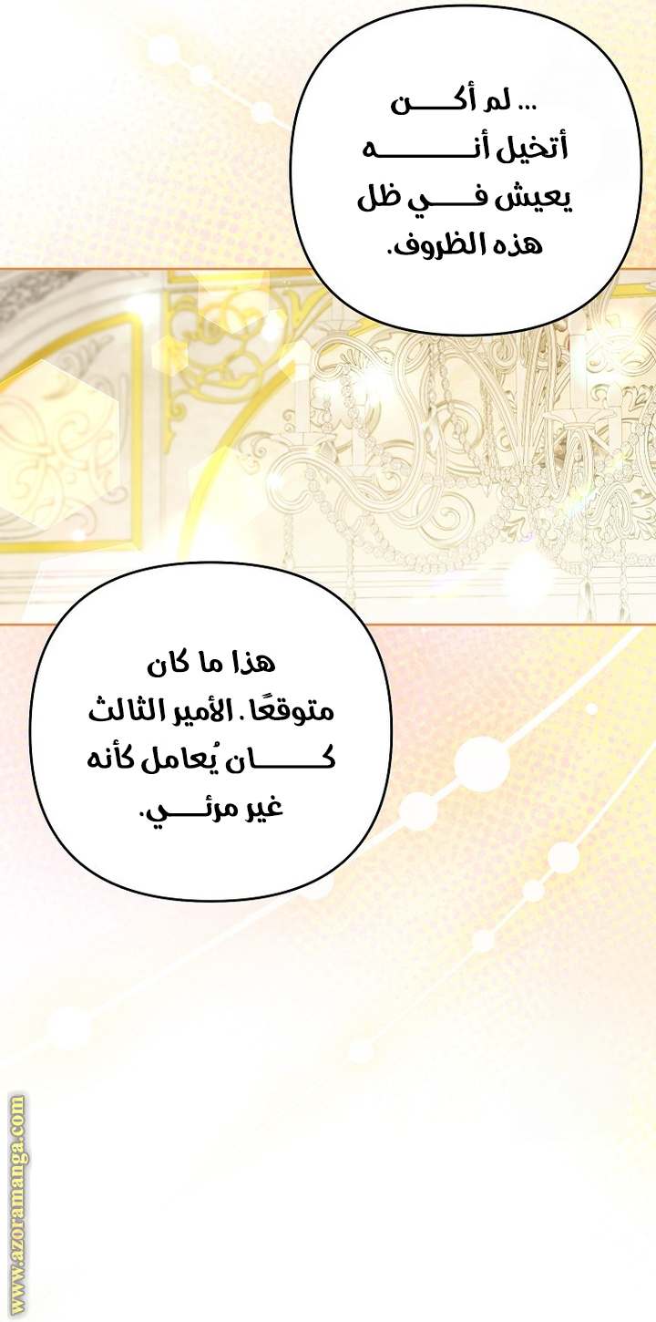 الصفحة 51