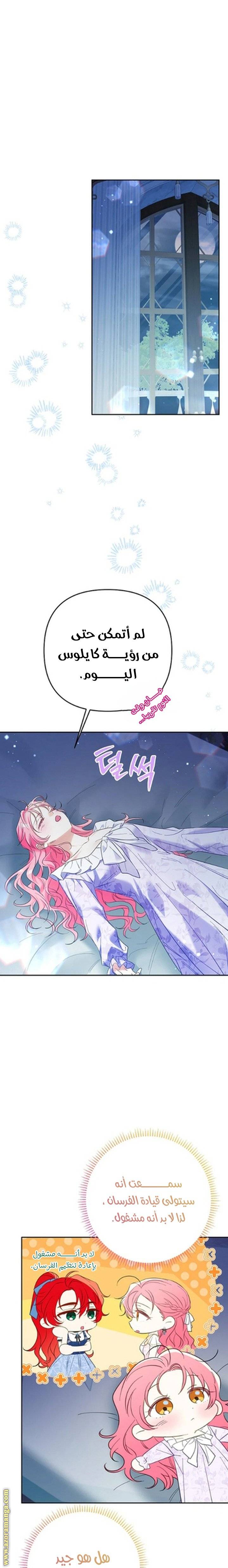 الصفحة 8