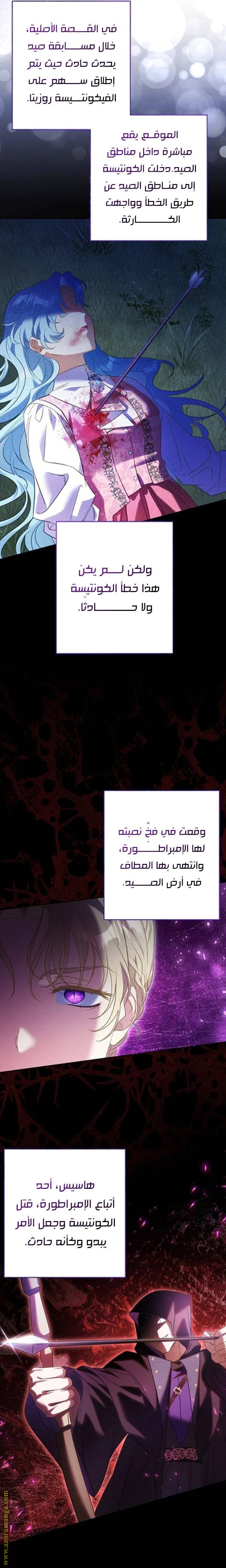 الصفحة 17