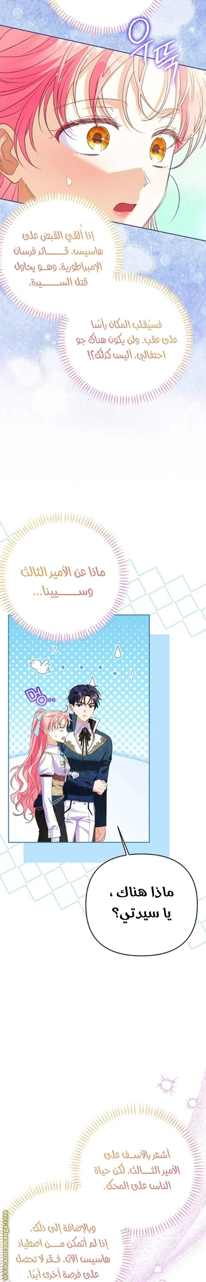 الصفحة 26