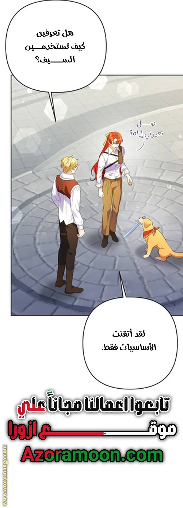 الصفحة 29