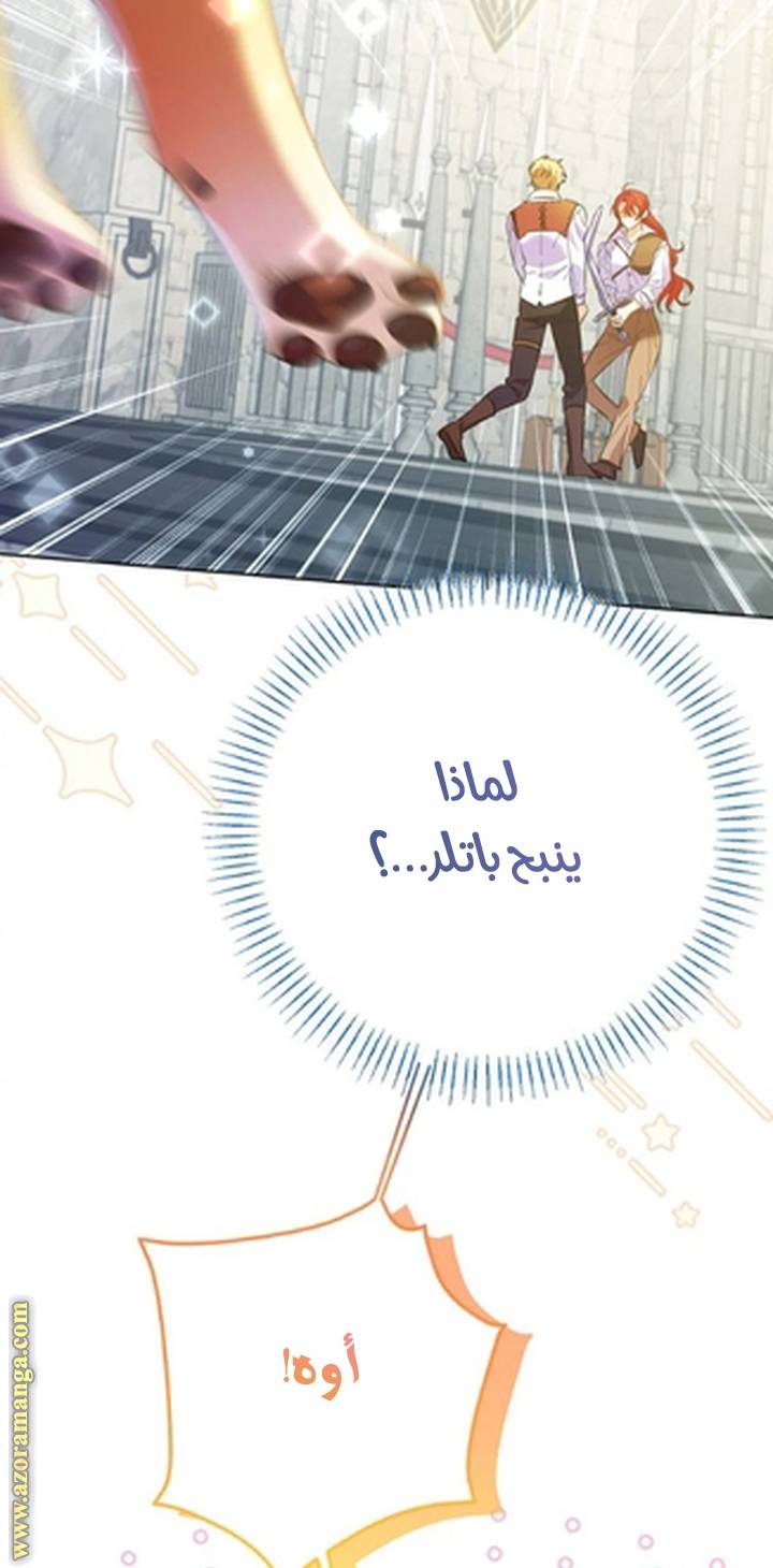 الصفحة 42