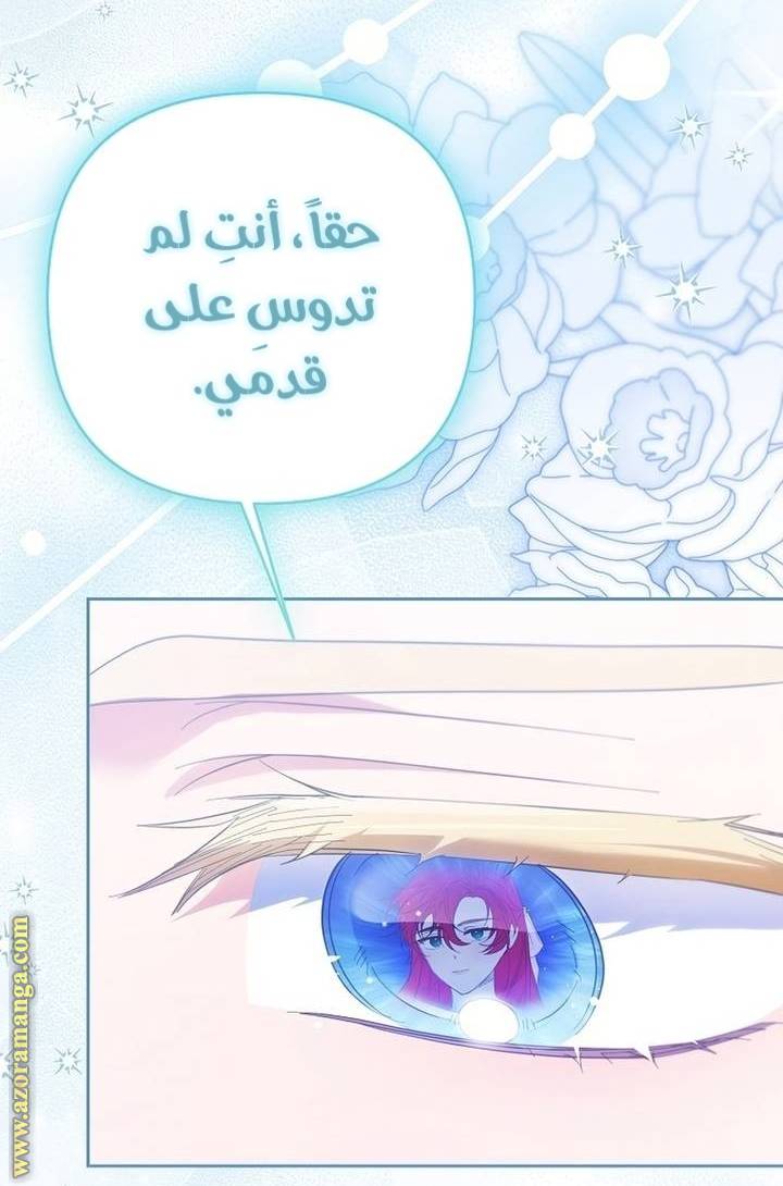 الصفحة 53