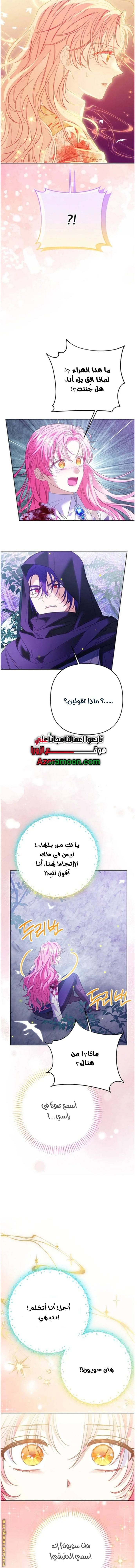 الصفحة 11