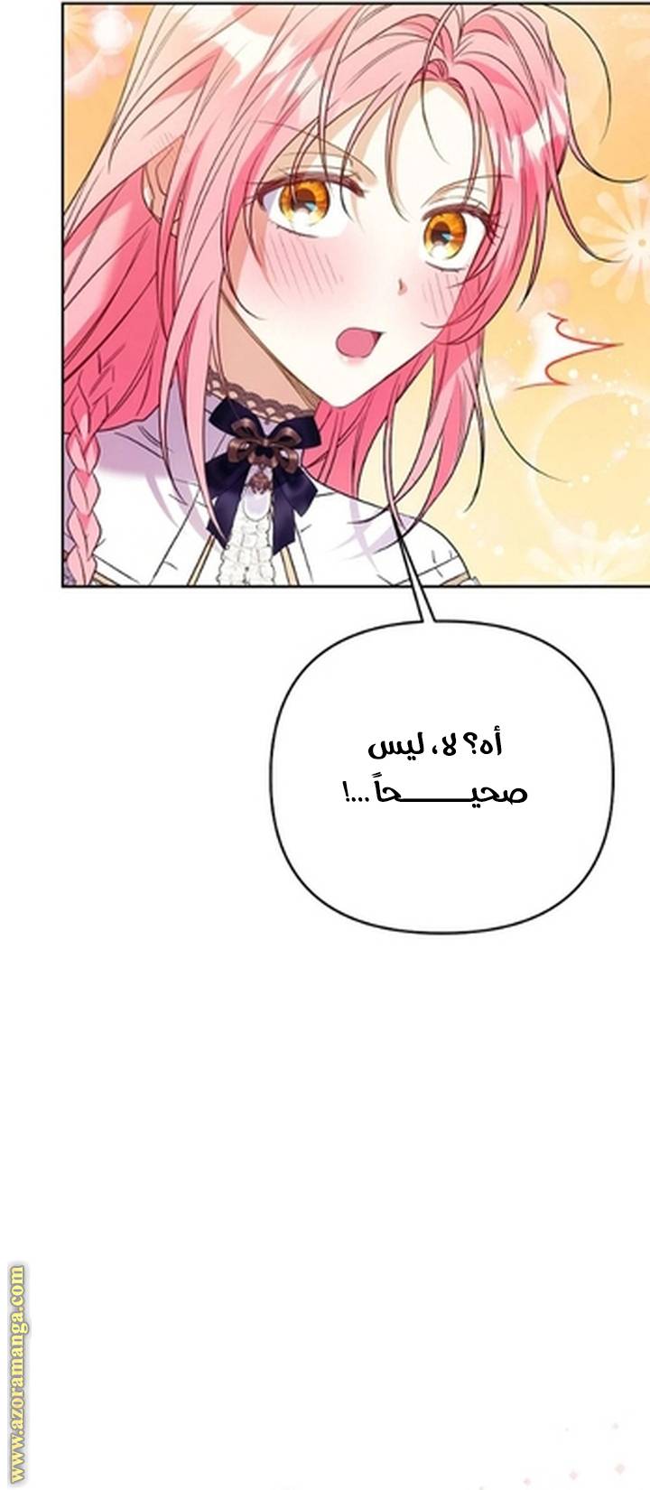 الصفحة 24