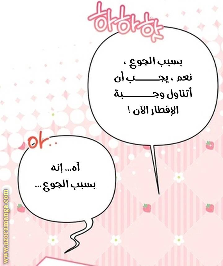 الصفحة 25