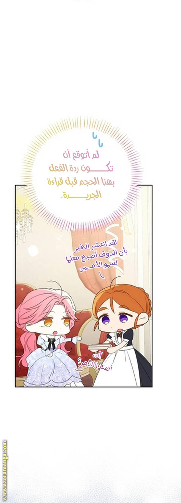 الصفحة 30