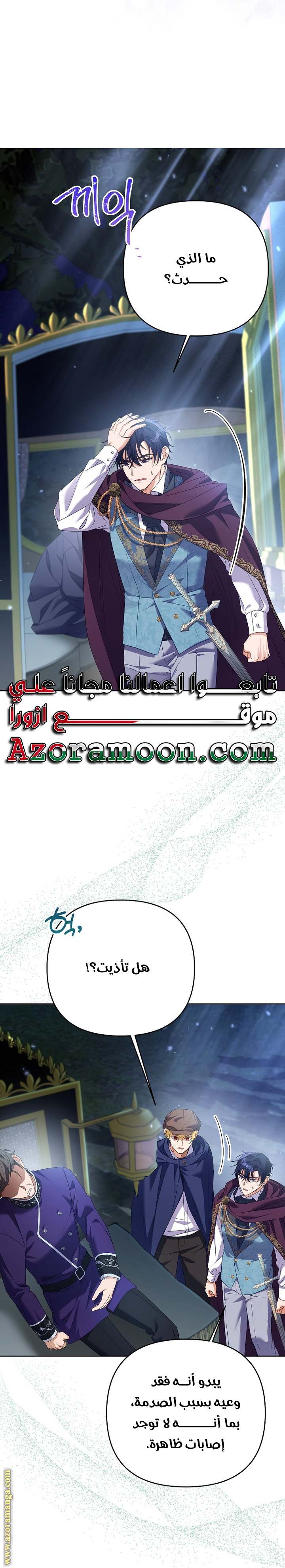 الصفحة 43
