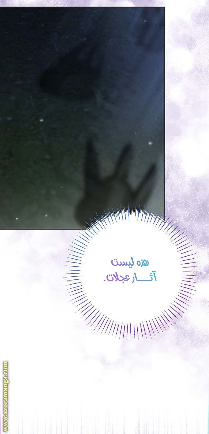 الصفحة 46