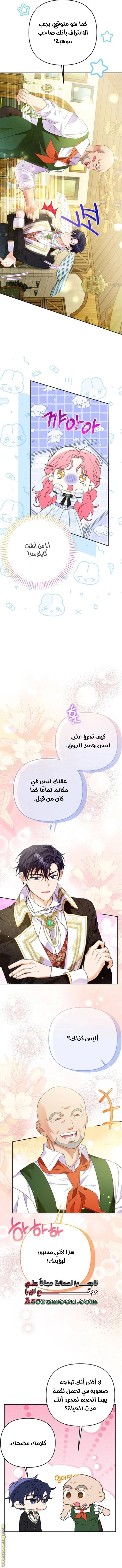 الصفحة 5