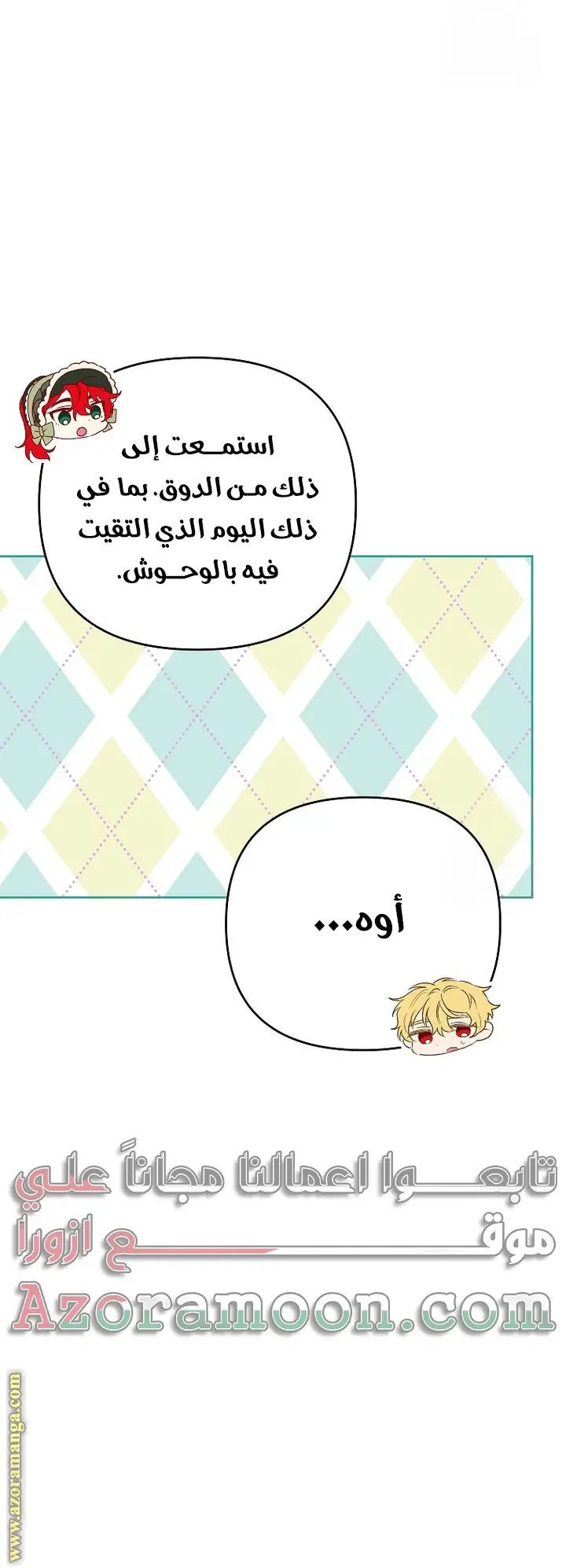 الصفحة 13