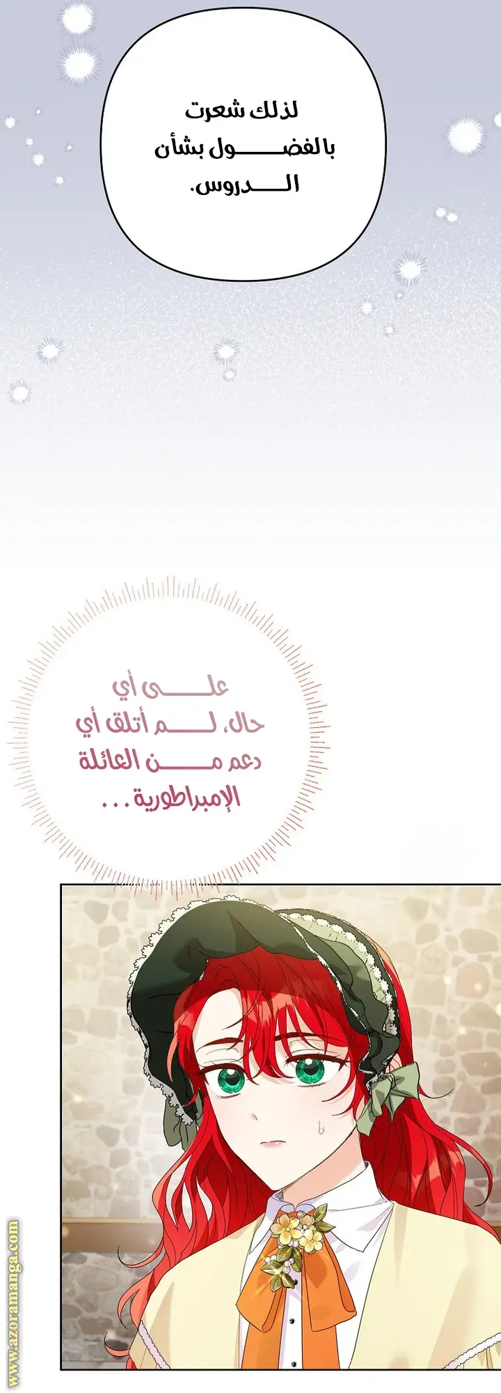 الصفحة 15