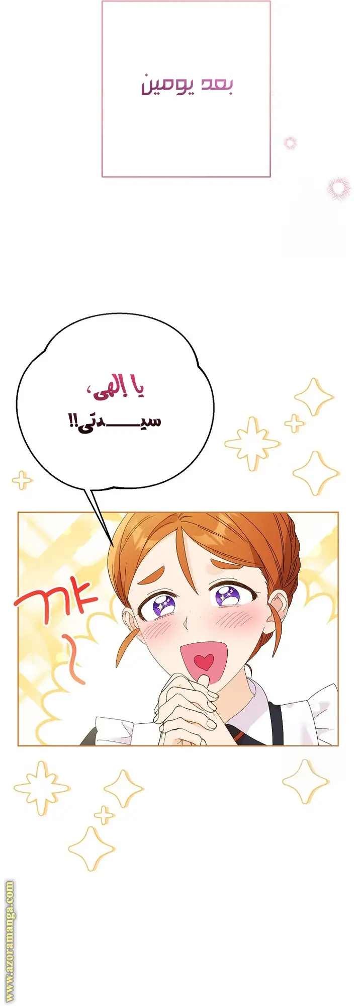 الصفحة 27